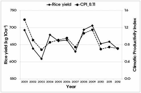 8월 11일 출수기준 기후생산력지수와 벼 수량의 연 변화