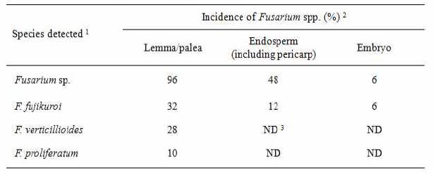 종자 부위별 Fusarium 균 감염율