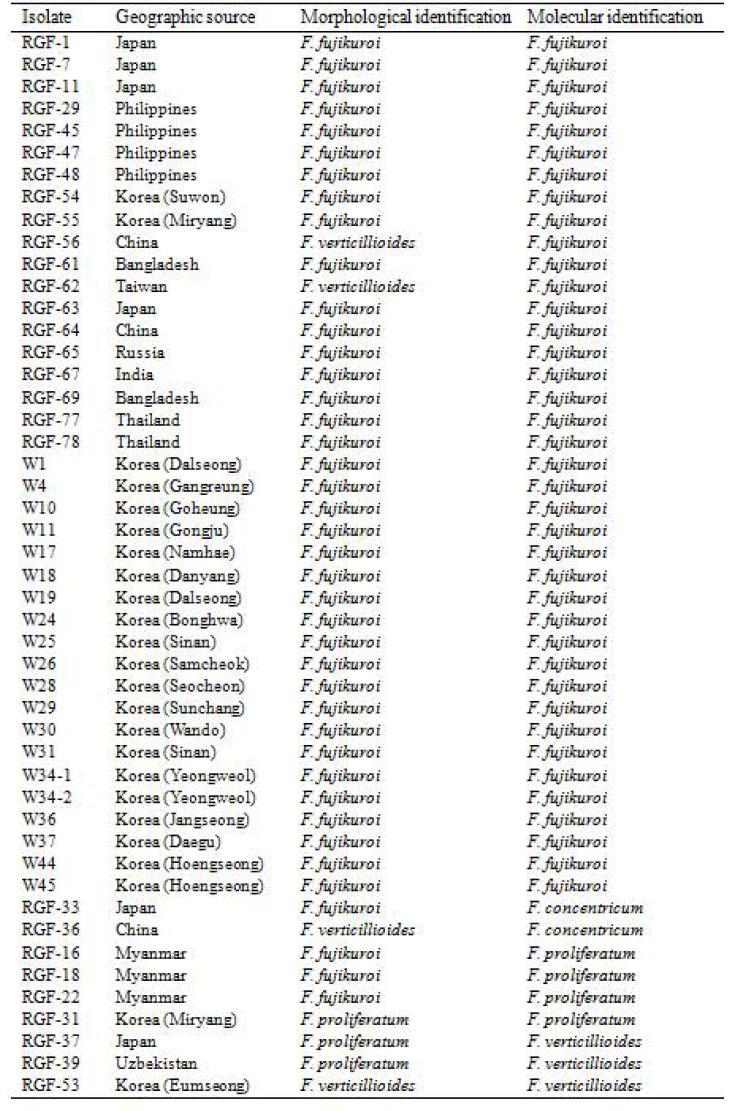 벼 종자에서 분리된 Fusarium 균주