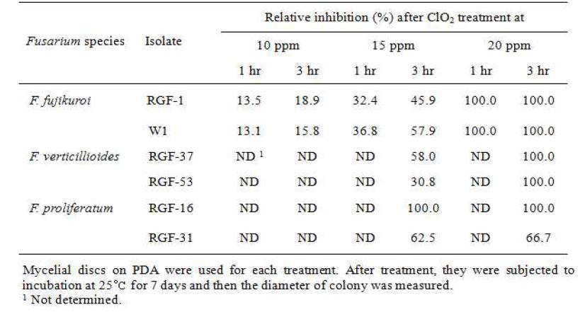 이산화염소 기체에 의한 Fusarium 균 균사생장 저해