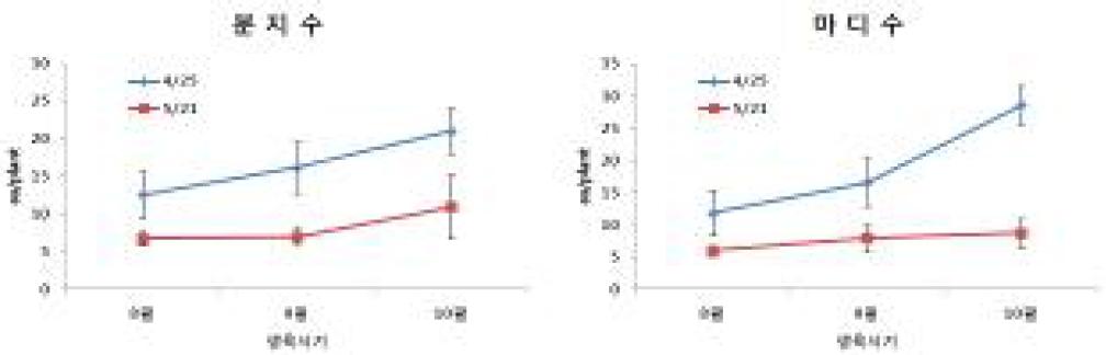 독활 묘두의 이식시기 및 생육시기별 분지수와 마디수 변화