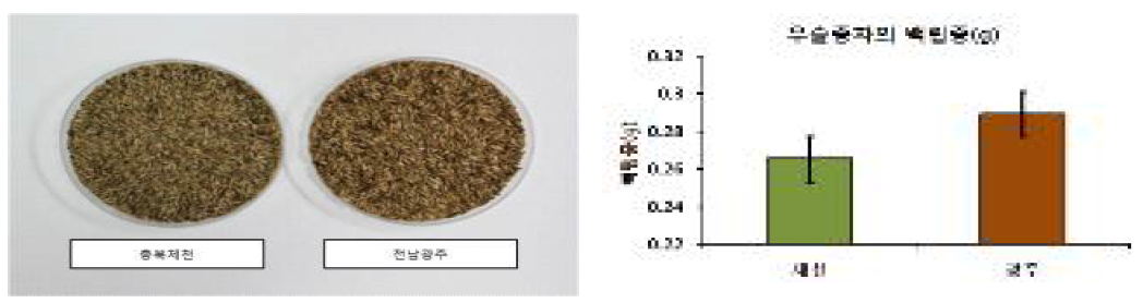 우슬 종자의 채취 지역에 따른 백립중 비교.