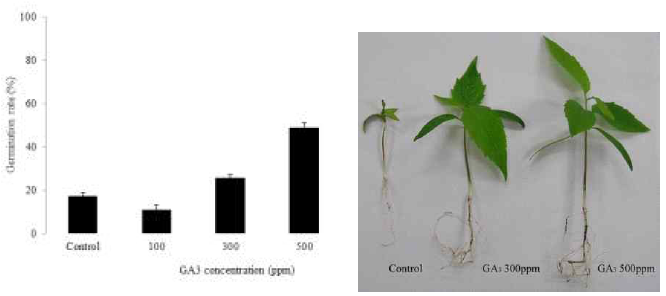 Effect of gibberellic acid on seed germination and growth pattern in Eucommia ulmoides Oiv