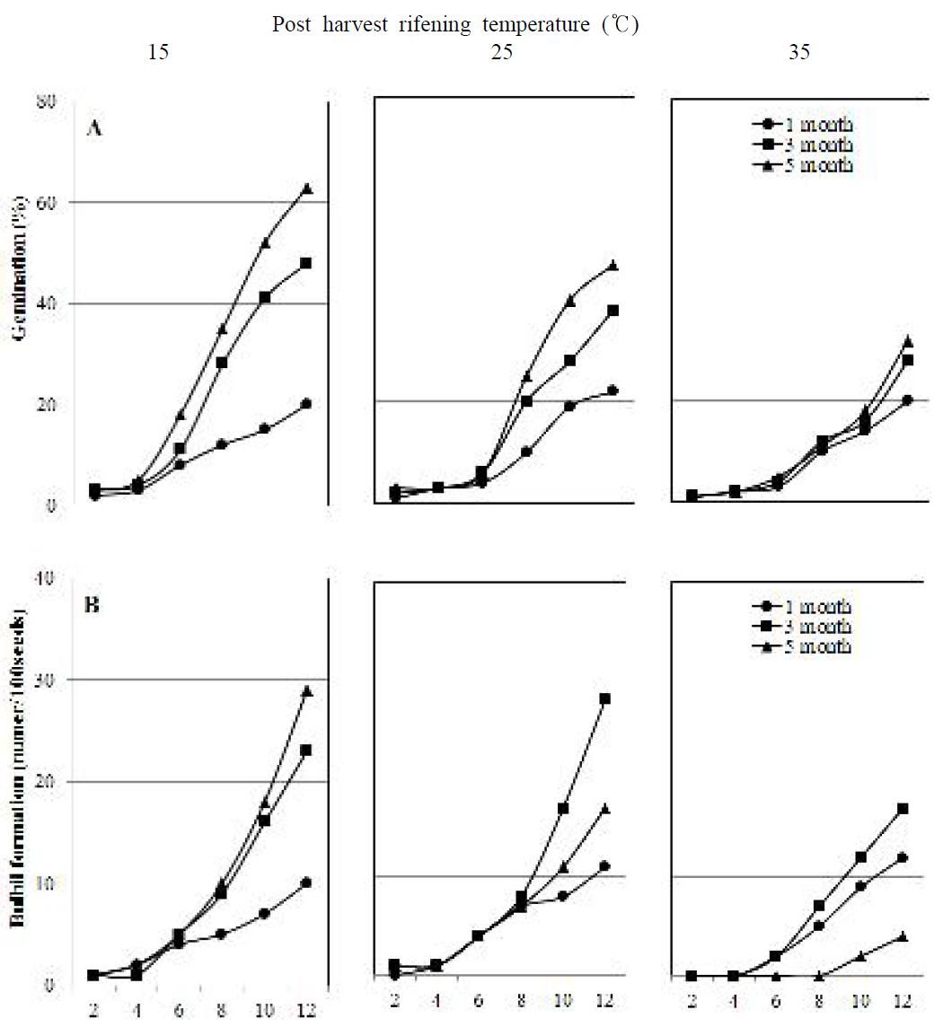 Effect of postharvest ripening temperatures and periods on weekly percent germination (A) and bulbli formation (B) of Polygonatum odoratum seed done at darkness and 25 ℃.