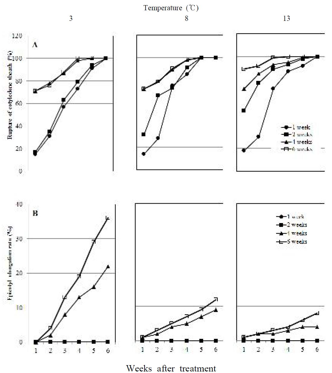 Effect of chilling temperatures (dark) and its period on rupture of cotyledonary sheath (A) and epicotyl elongation rate (B) of P olygonatum odoratum seedlings kept at fluorescent ligaht and 25 ℃.