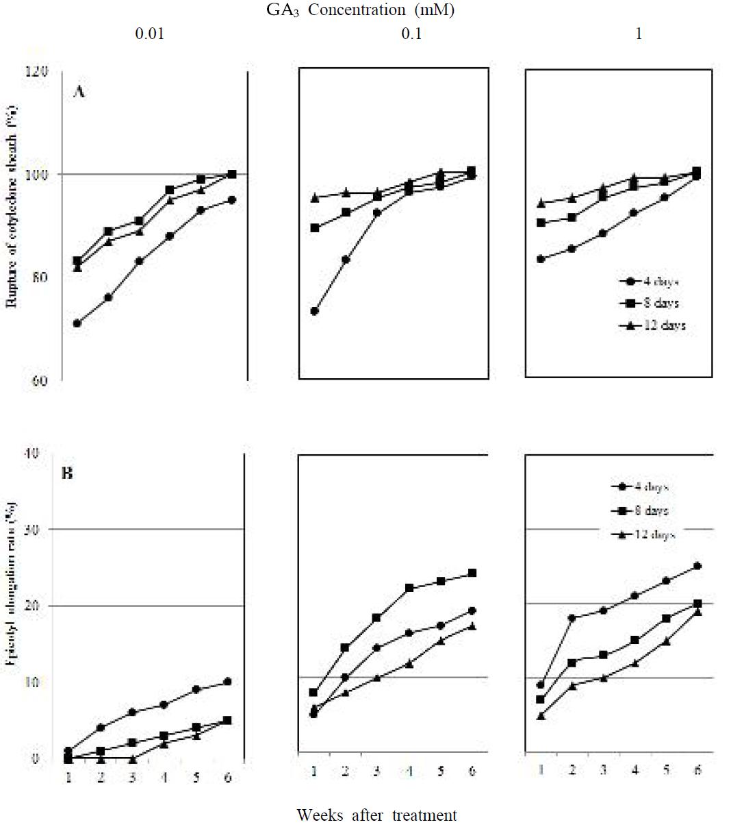 Effect of GA3 concentration and its tretment period on rupture of cotyledonary sheath (A) and epicotyl elongation rate (B) of P olygonatum odoratum seedlings kept at fluorescent ligaht and 25 ℃.