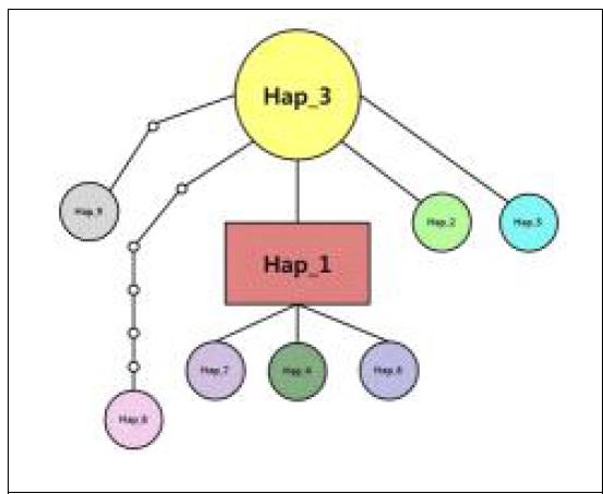 mat K 마커에 의한 최소 거리 network분석 결과