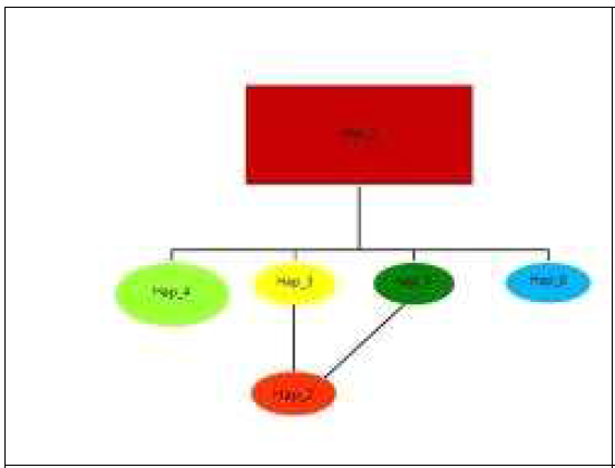 국내 자생 개나리의 ITS2 haplotype 에 의한 최소편차 계통수로 각 haplotype의 크 기는 type별 개체의 비율임