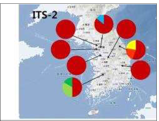 국내 자생 개나리의 ITS2 haplotype 분포도