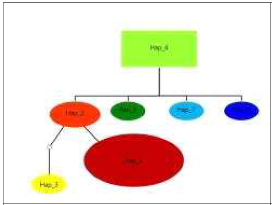 국내 자생 개나리의 psbA haplotype 에 의한 최소편차 계통수로 각 haplotype의 크 기는 type별 개체의 비율임