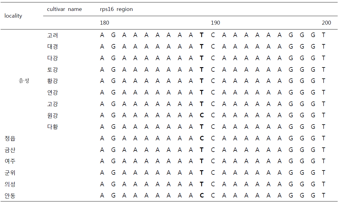 Sequence alignment 분석결과의 지황 수집 자원 간 SNP region