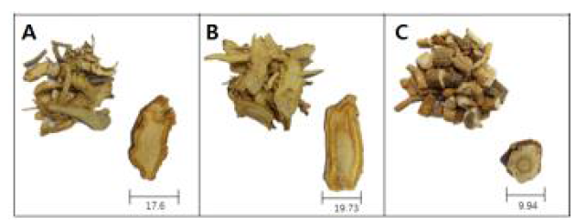 방풍류 한약재의 가공 형태 비교