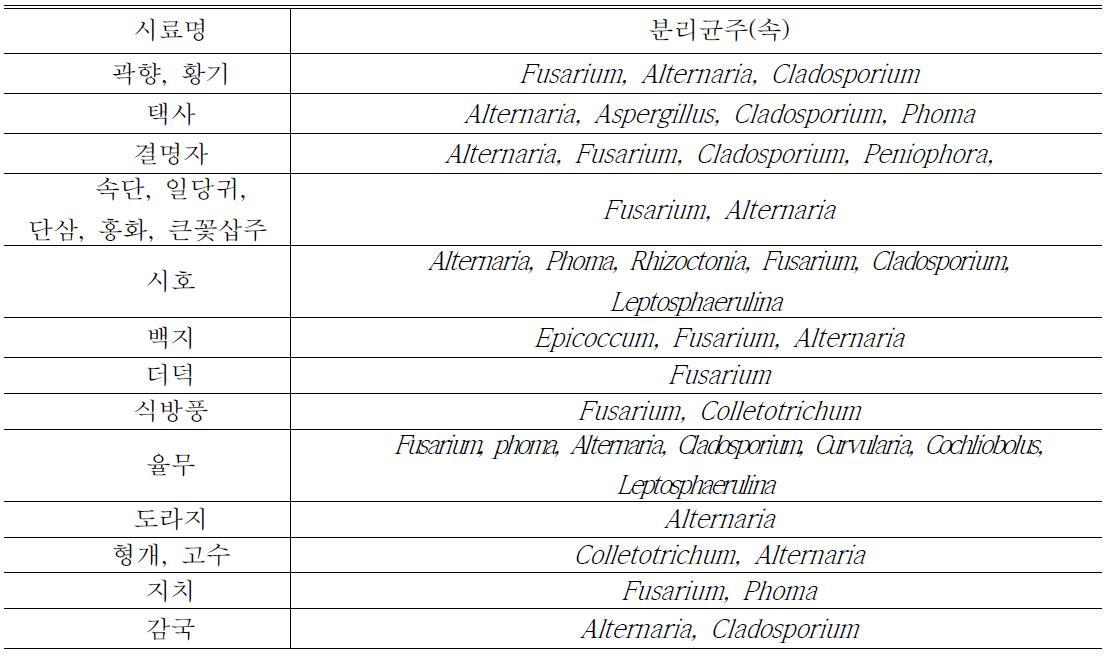 분리 오염균의 현미경검경 및 ITS 영역 유전분석을 통한 속(genus) 단위 동정