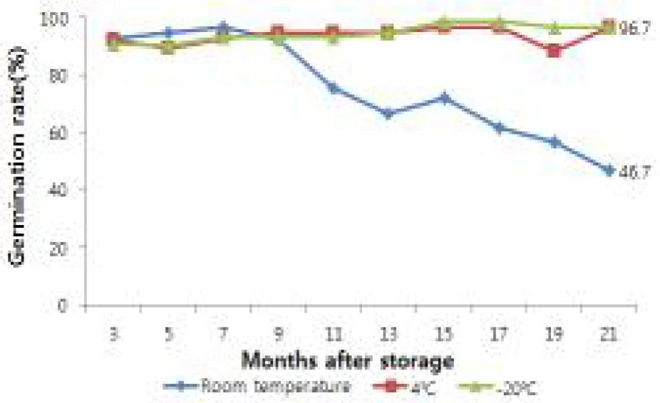 더덕 종자 발아적온(15℃)에서의 저장조건별 발아율