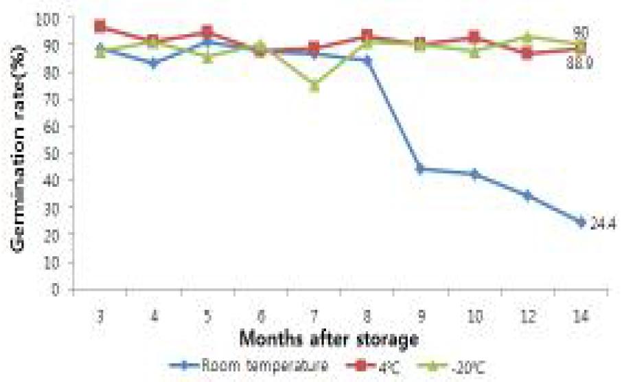 삽주 종자 발아적온(20℃)에서의 저장조건별 발아율