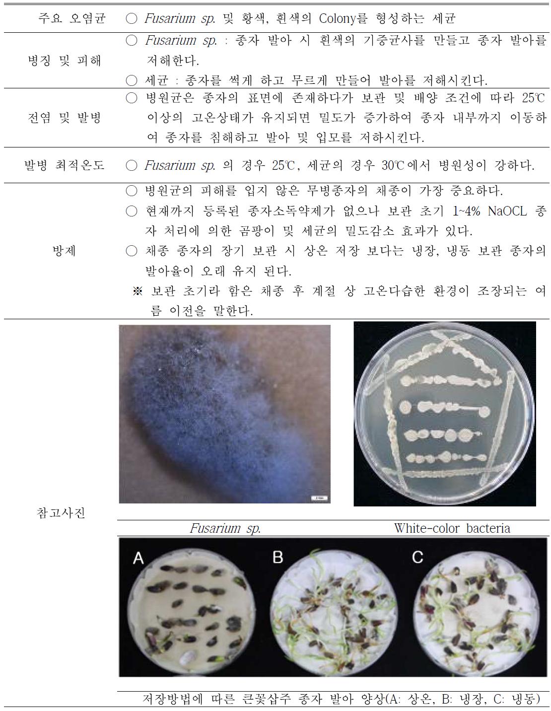 삽주 종자 전염균 관리 메뉴얼