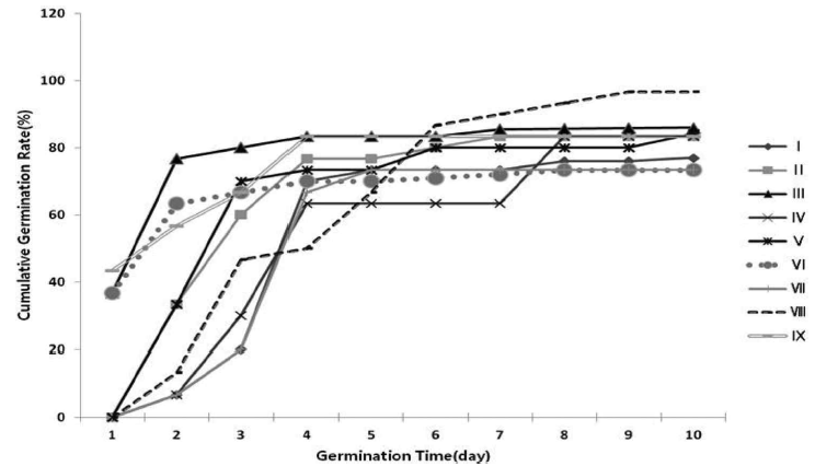 발아조건 따른 종대황의 누적 발아율 조사.