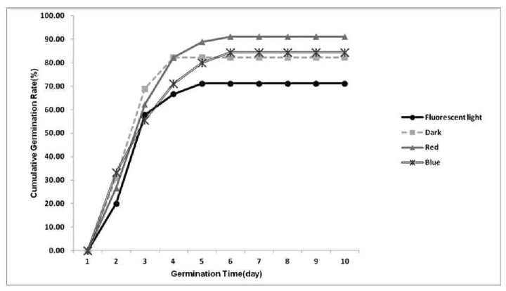 광조건별 백수조의 누적발아율 조사