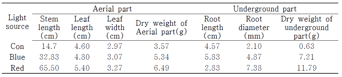 광조건별 하수오의 지상부와 지하부 생육특성 조사