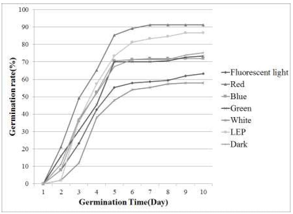 광조건별 황기 종자의 발아율 비교