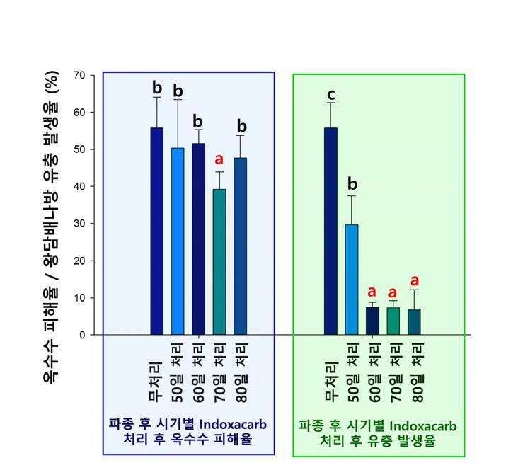 파종 시기별 인독사카브 처리 후 옥수수 피해율 및 왕담배나방 유충 발생율