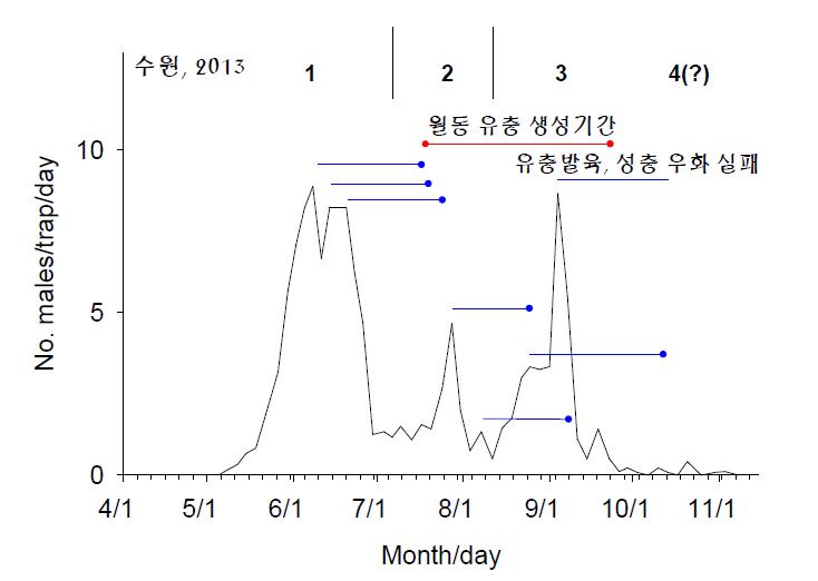 조명나방 성충 피크별 다음 세대 성충 출현 추정(파란 선)과 발생 세대