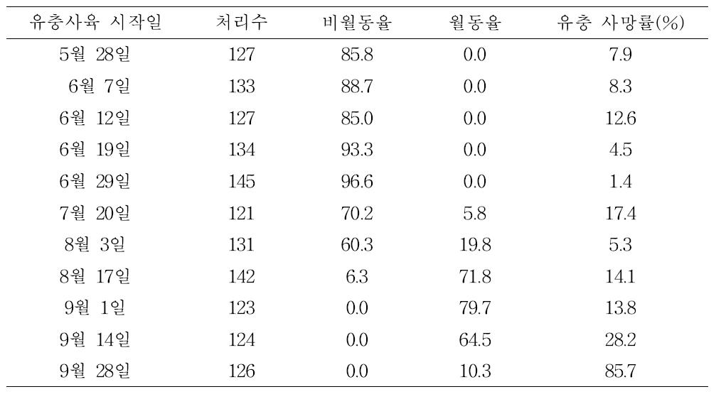 조명나방 시기별 유충 사육에서 월동 유충 생성 시기