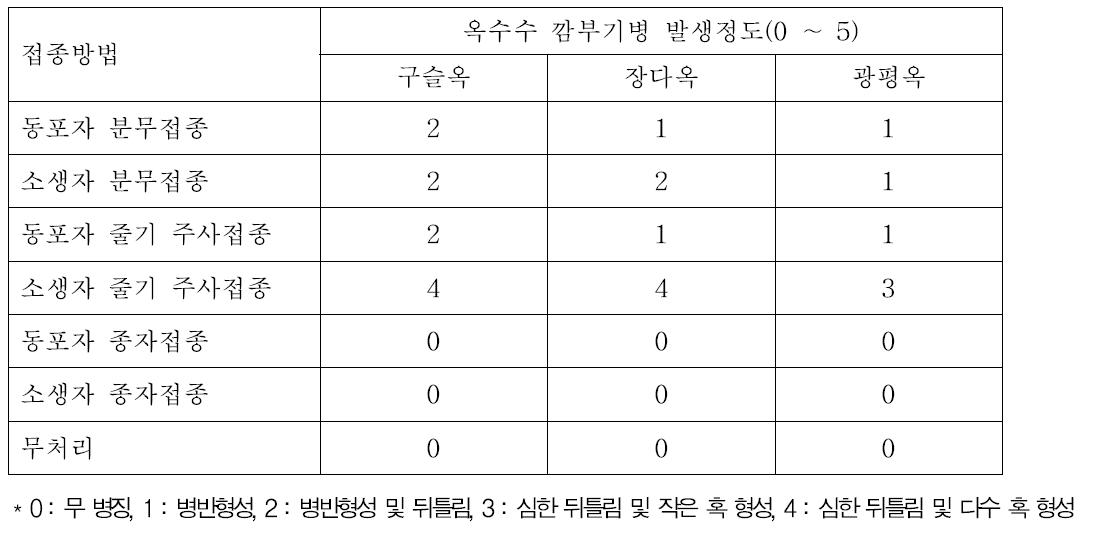 옥수수 깜부기병균 접종방법 별 병 발생정도