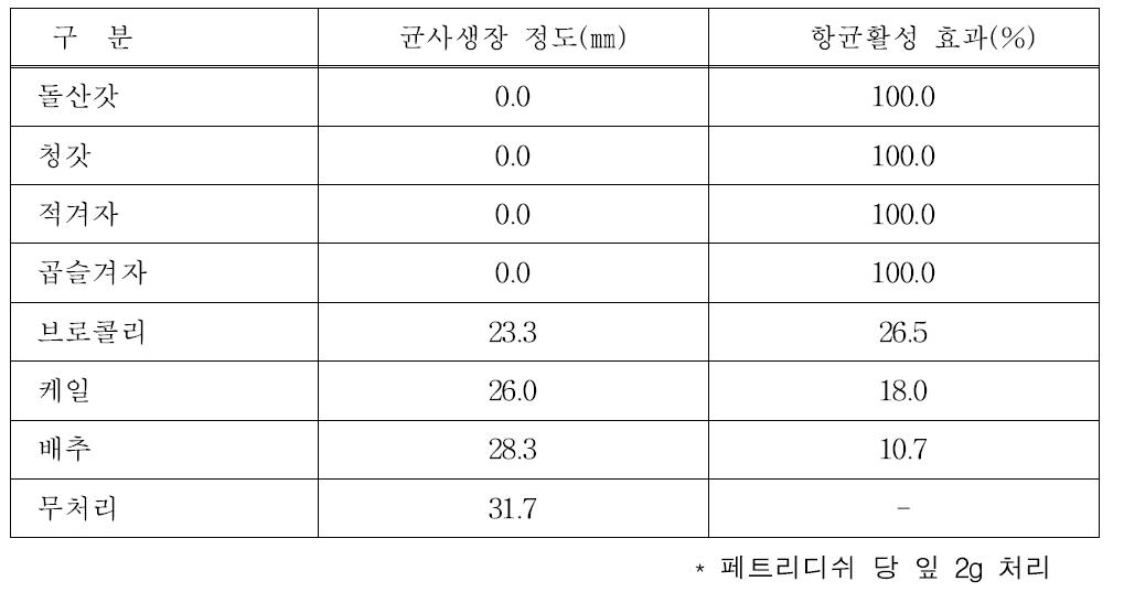 Brassica 속 식물 별 옥수수 잎집무늬마름병 항균활성 효과