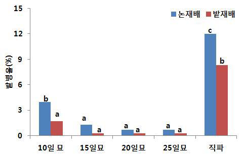 옥수수 육묘이식 재배에 의한 모잘록병 발생 경감효과.