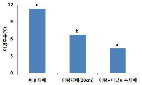 옥수수 논재배 시 이랑 및 비닐피복재배에 의한 잎집무늬마름병 발생경감효과.