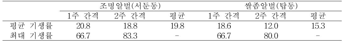 방사간격에 따른 조명나방 알기생벌의 조명나방 난괴 기생률