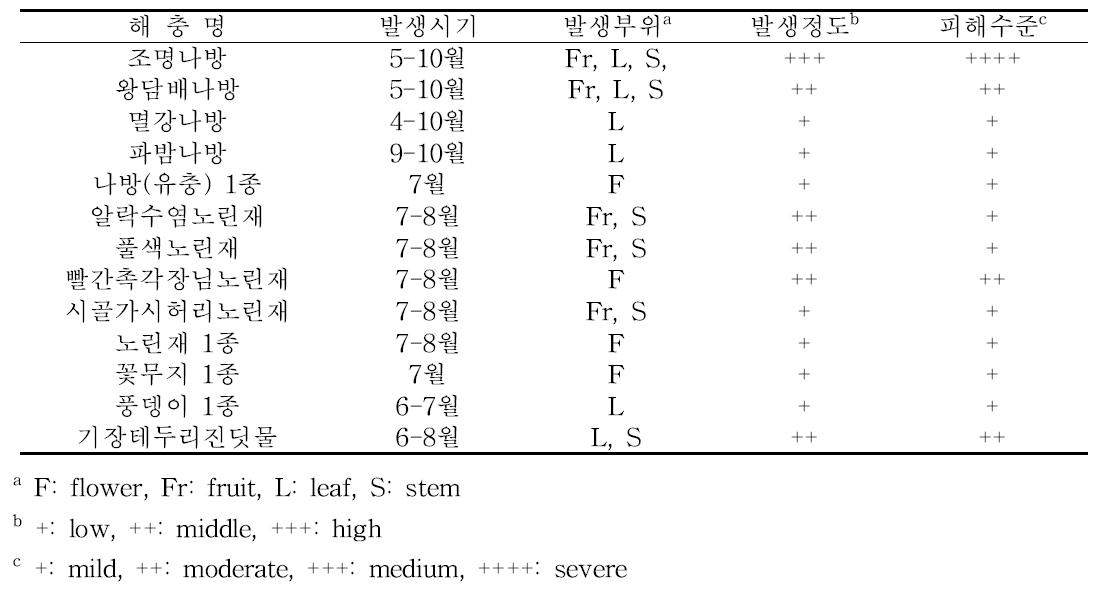 옥수수 가해 주요해충 종류