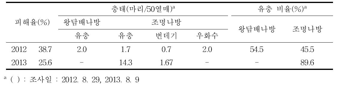 옥수수 수확물(열매)에 대한 나방류 발생밀도 및 피해율 조사