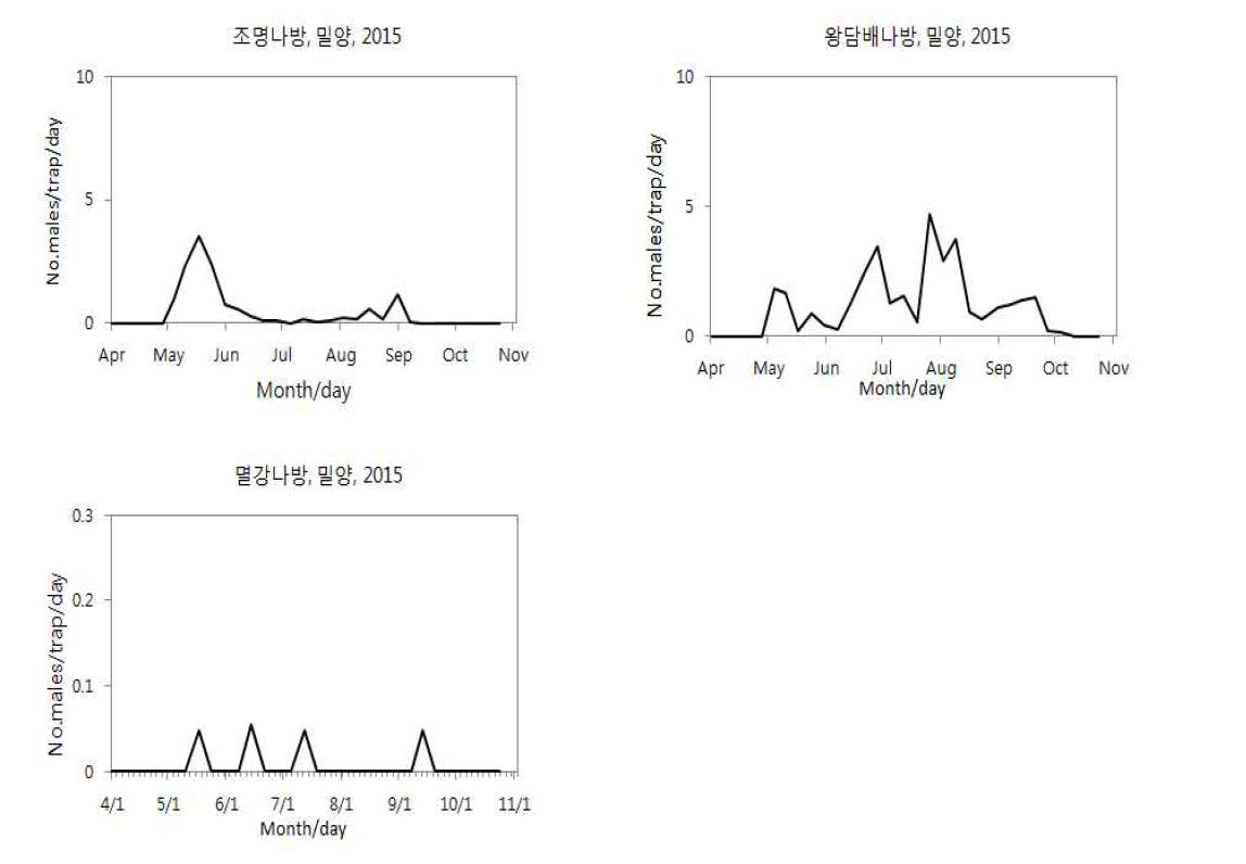 2015년 밀양의 옥수수 나방류 해충 발생소장.