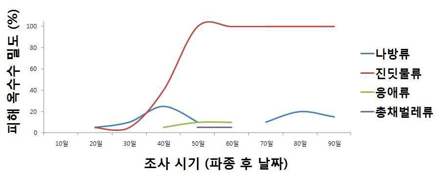 파종 후 조사시기별 해충별 피해 옥수수 밀도 변화