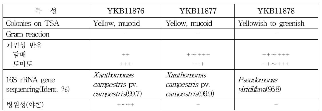 병원세균(YKB11876, 11877, 11878)의 특성
