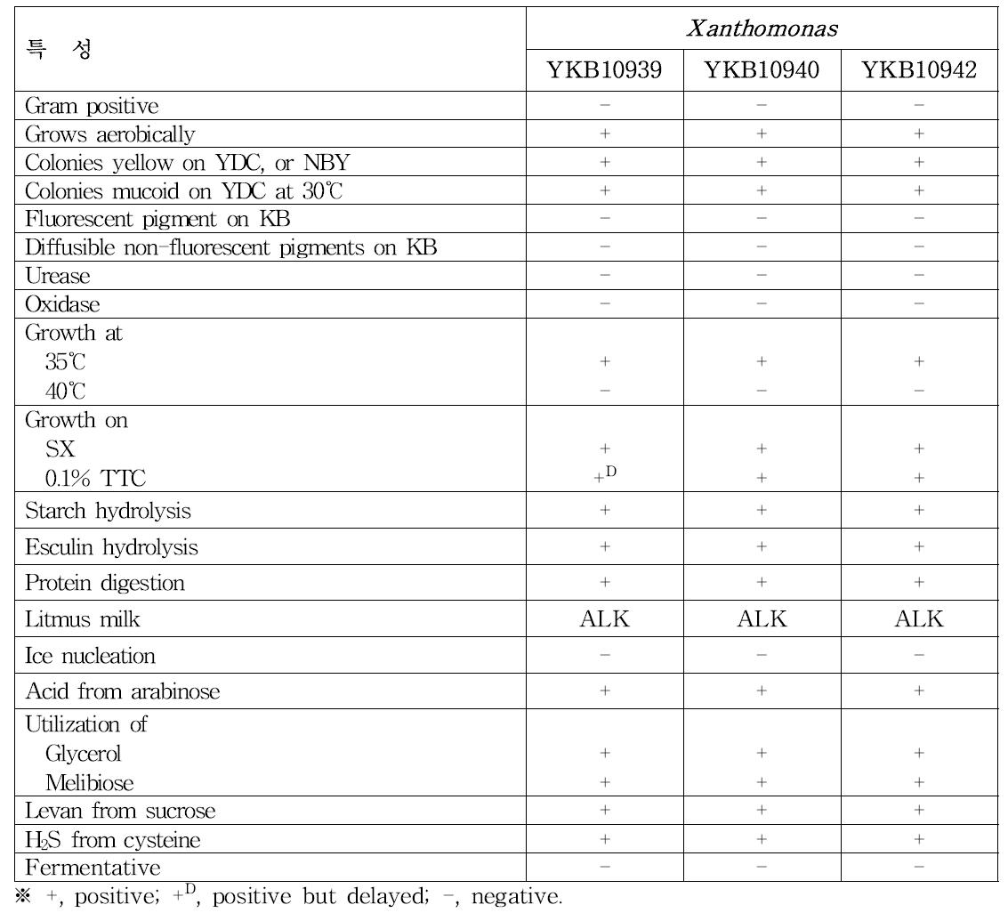 병원세균(YKB10939, 10940, 10942)의 특성