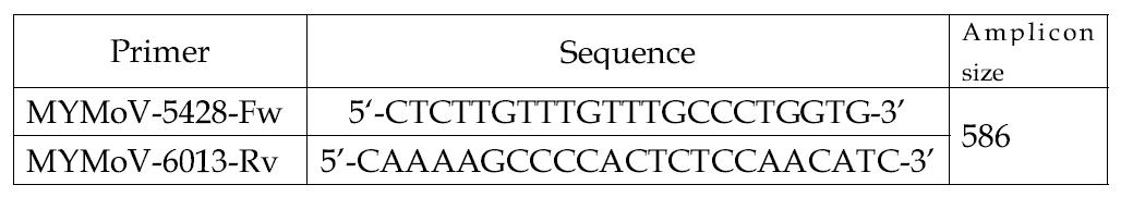 익모초 황화모틀 바이러스 진단용 특이 프라이머