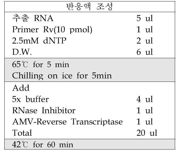 익모초 황화모틀 바이러스 진단을 위한 역전사 반응조건