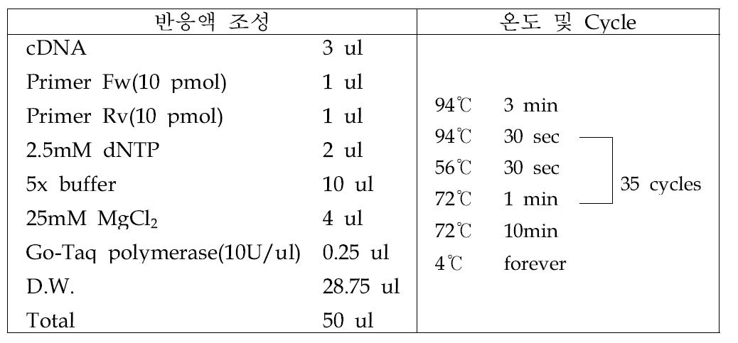 익모초 황화모틀 바이러스 진단을 위한 중합효소연쇄반응 조건