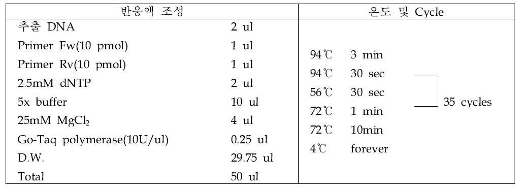 야콘 괴사모틀 바이러스 진단을 위한 중합효소연쇄반응 조건