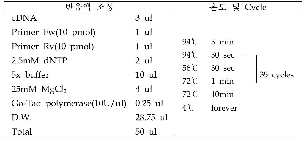 잠두 위조 바이러스2 진단을 위한 중합효소연쇄반응 조건