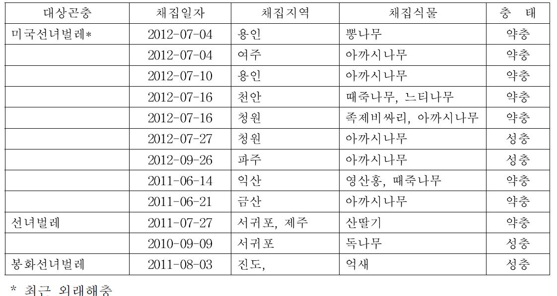 선녀벌레과(Flatidae) 채집 및 형태적 동정