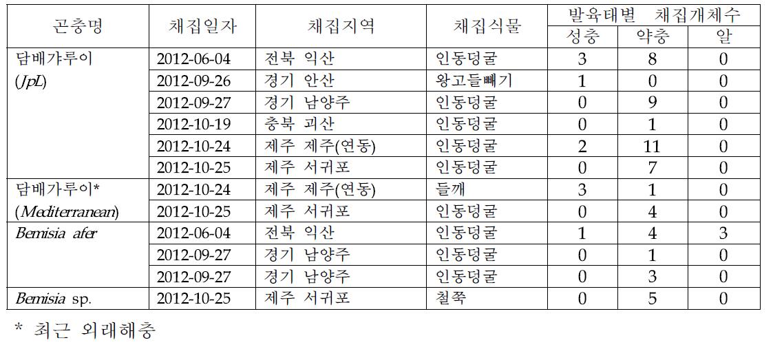 가루이과(Aleyrodidae) 유전자원 확보