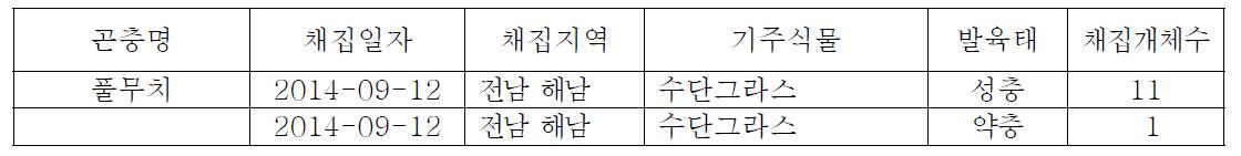 풀무치(Locusta migratoria) 채집 및 형태적 동정