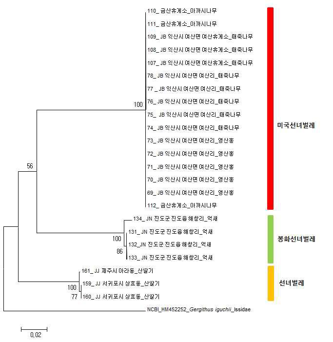 mtDNA COI 유전자를 이용한 선녀벌레과 국내종의 유전분석