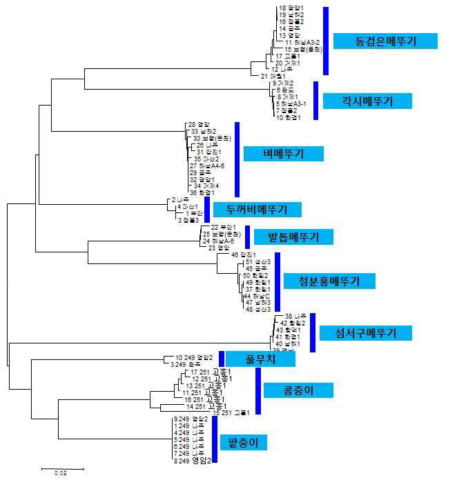 mtDNA COI 유전자를 이용한 메뚜기아목 국내종의 유전분석