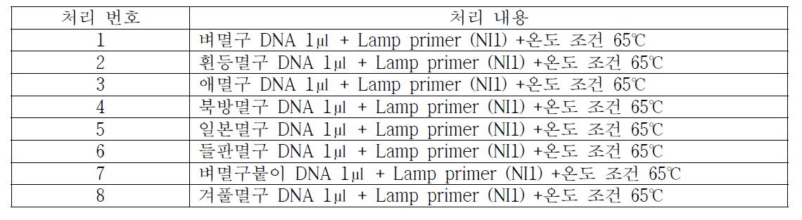 LAMP 프라이머 NI1과 온도 조건