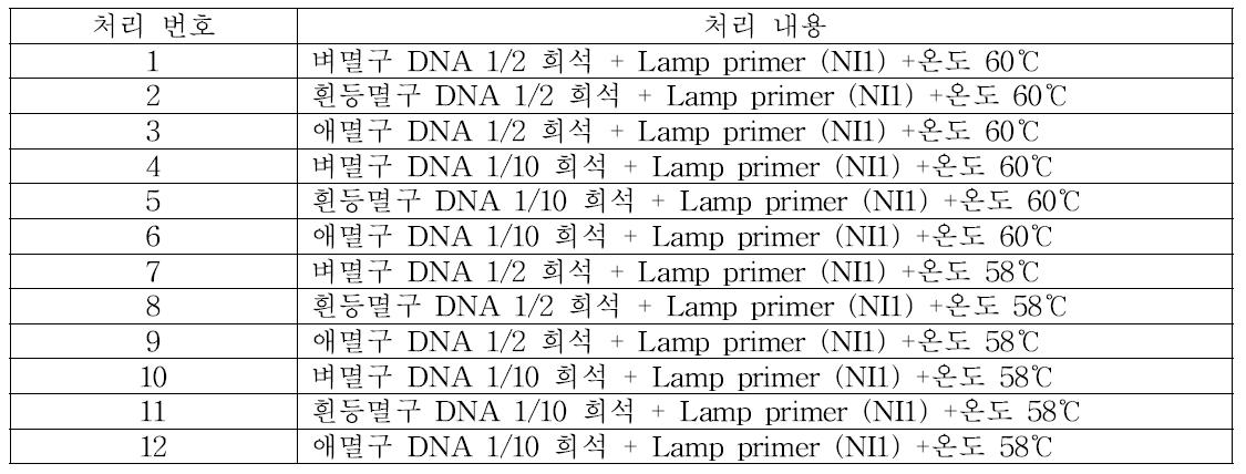 DNA양과 온도조건의 변화에 따른 LAMP PCR